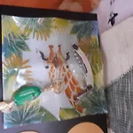 Studette Paris 4